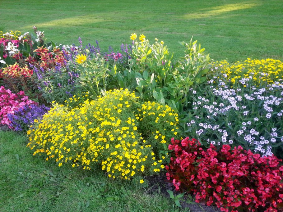 Астильба Файрберри