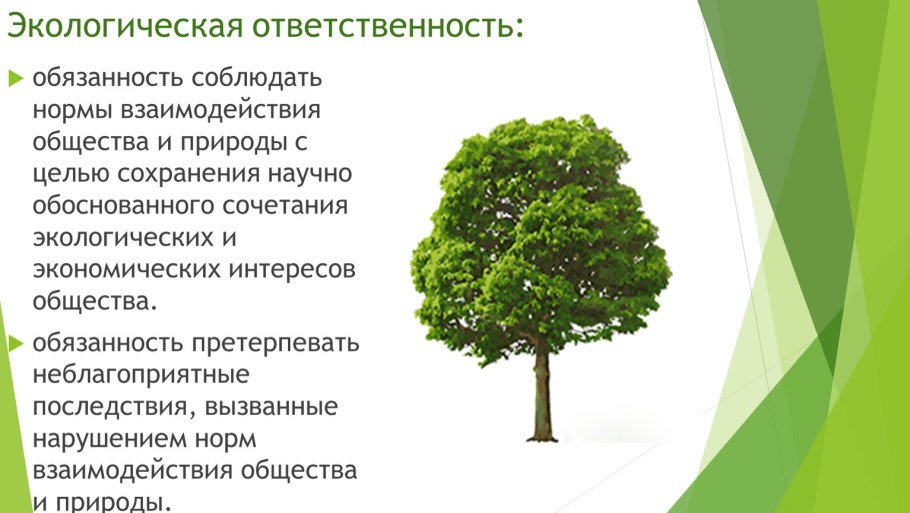 Экологическая ответственность