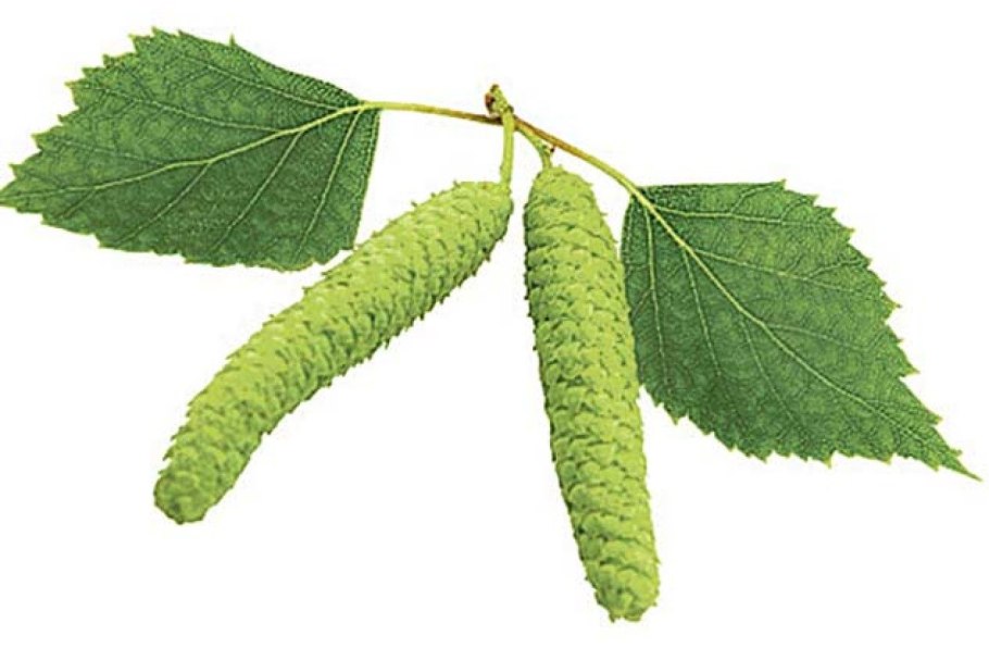 Крючок Gamakatsu LS-3614f