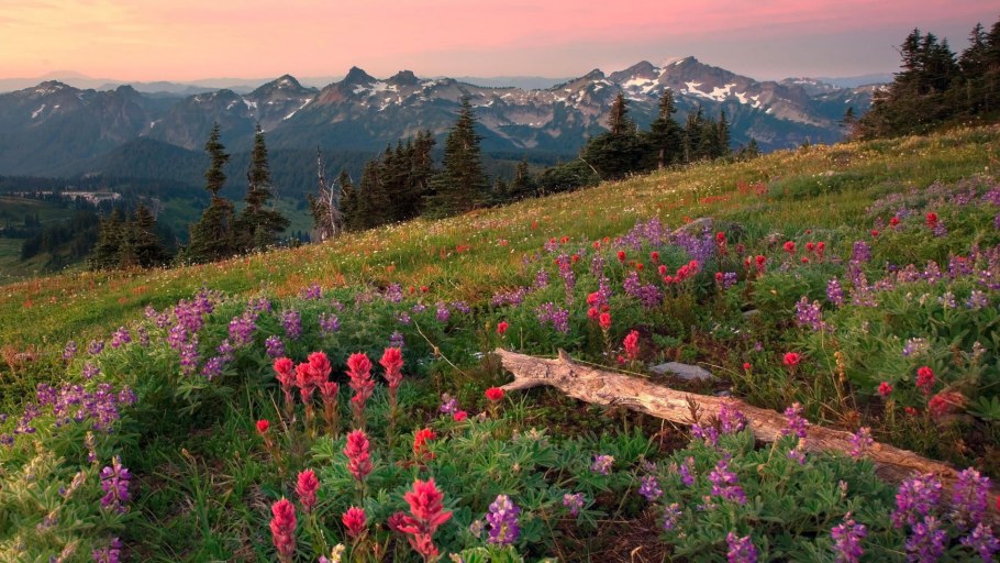 Гора Монблан и Альпийские Луга