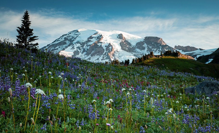 Таганай Альпийские Луга