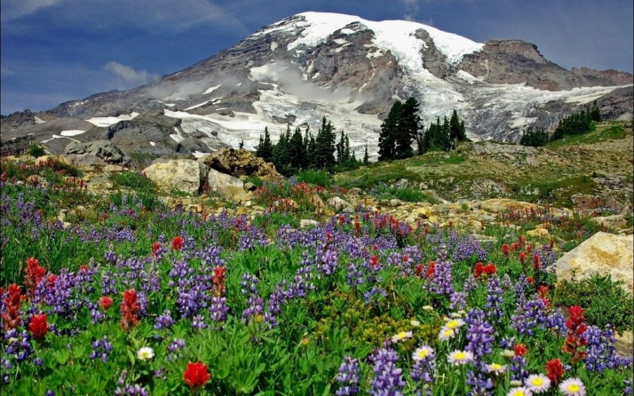 Альпийские Луга Кавказа