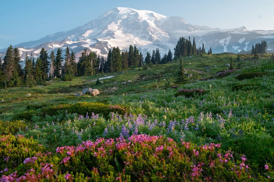 Альпийские Луга Эльбруса