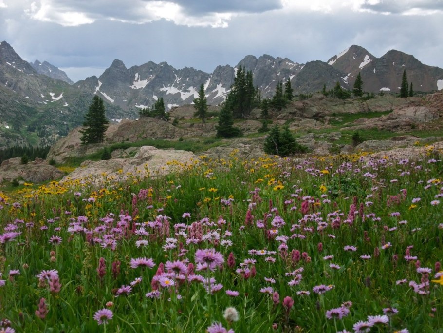 Субальпийский пояс Кавказа
