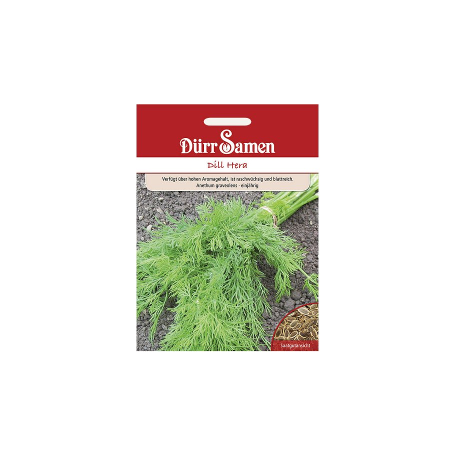 Аэлита шпинат Илья Муромец