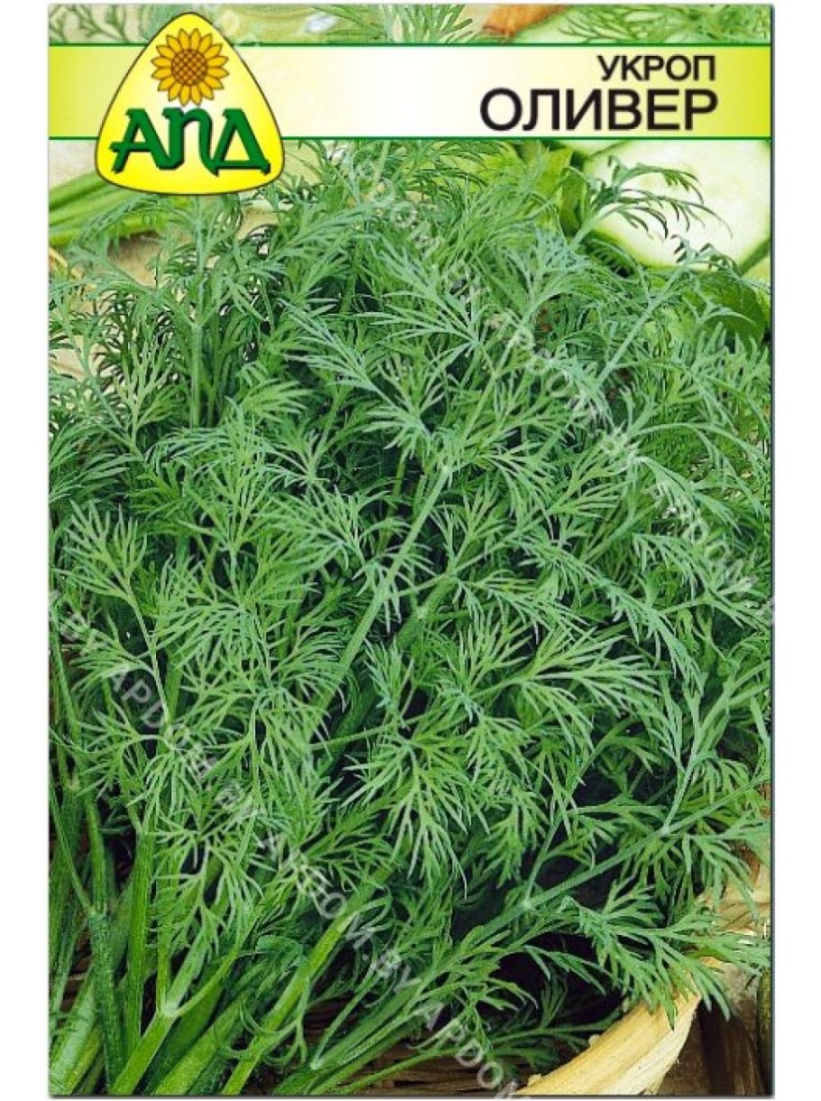 Укроп Оливер