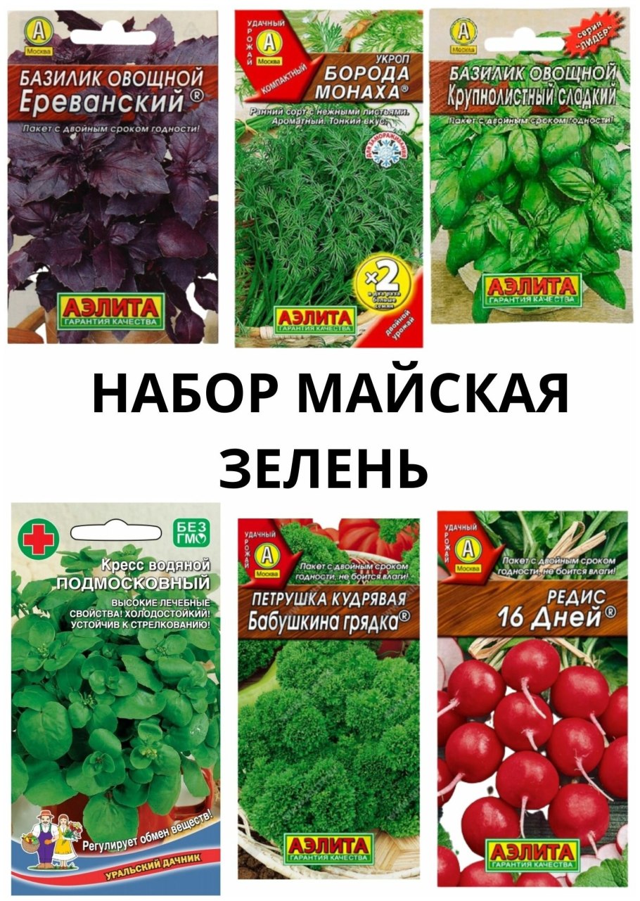 Укроп Оливер