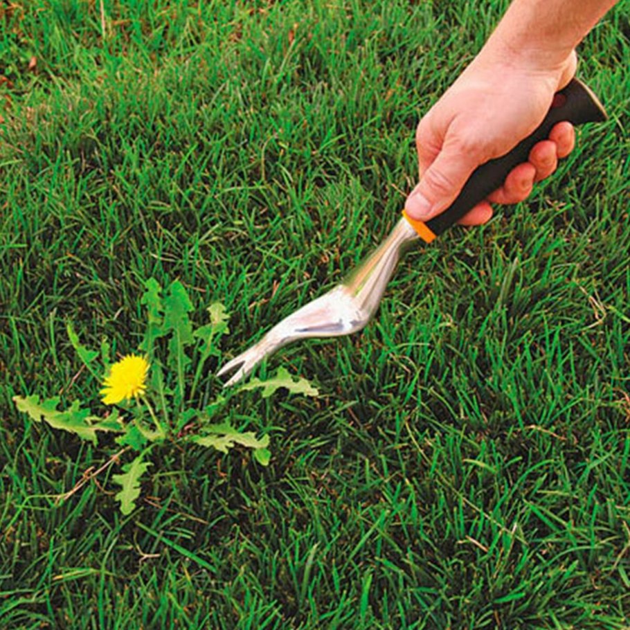 Пропалывание сорняков