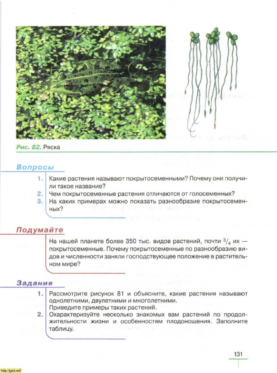 Зеленая Ряска