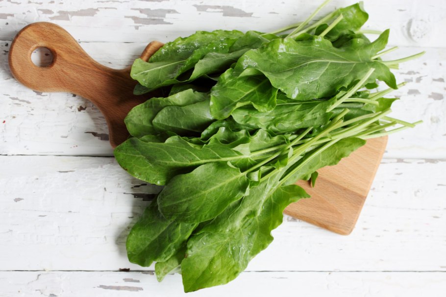 Щавель Бельвийский