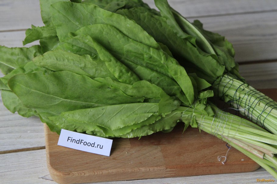 Щавель щавель широколистный