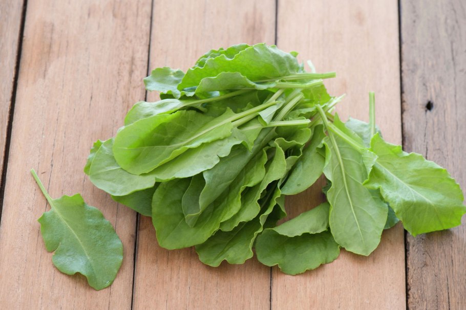 Щавель обыкновенный