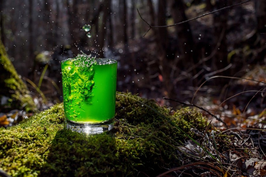 Хлорелла водоросль