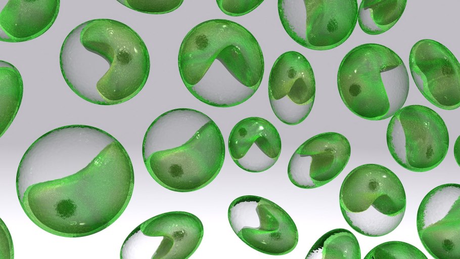Spirulina Chlorella таблетки