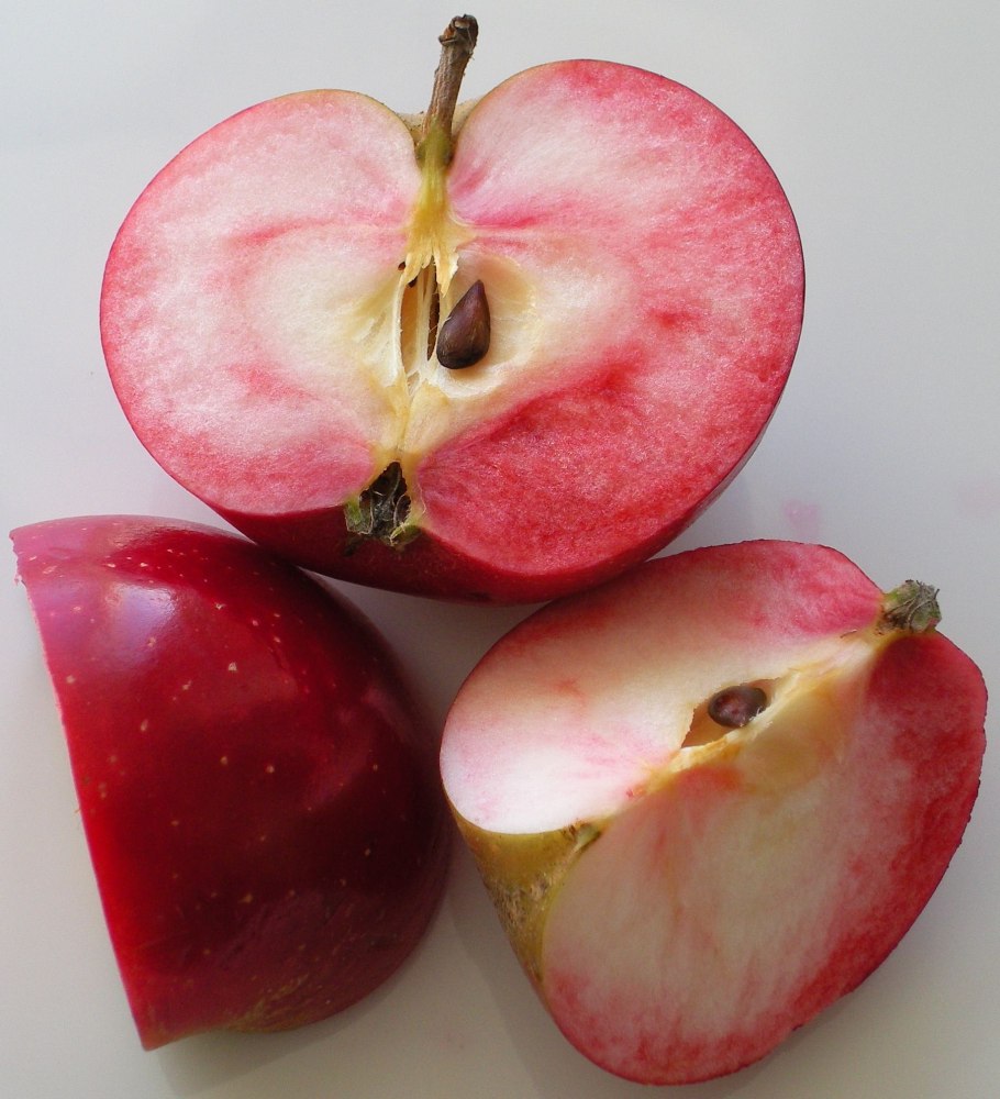 Яблоня сорт Воргуль Воронежский