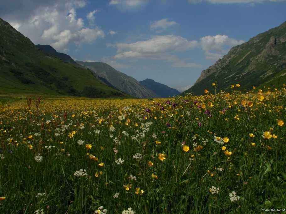 Альпийские Луга Краснодарского края