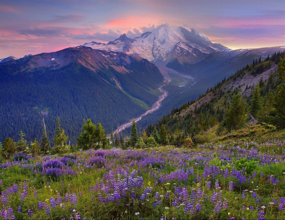 Альпийские Луга новая Зеландия