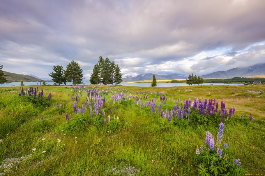 Природные Луга на карте