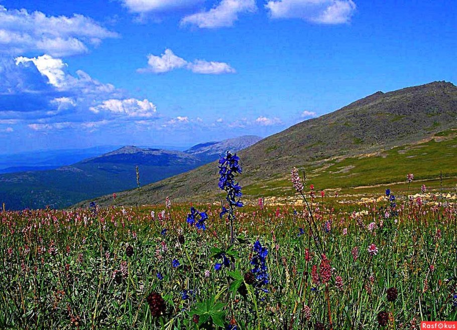 Субальпийские Луга Таганай