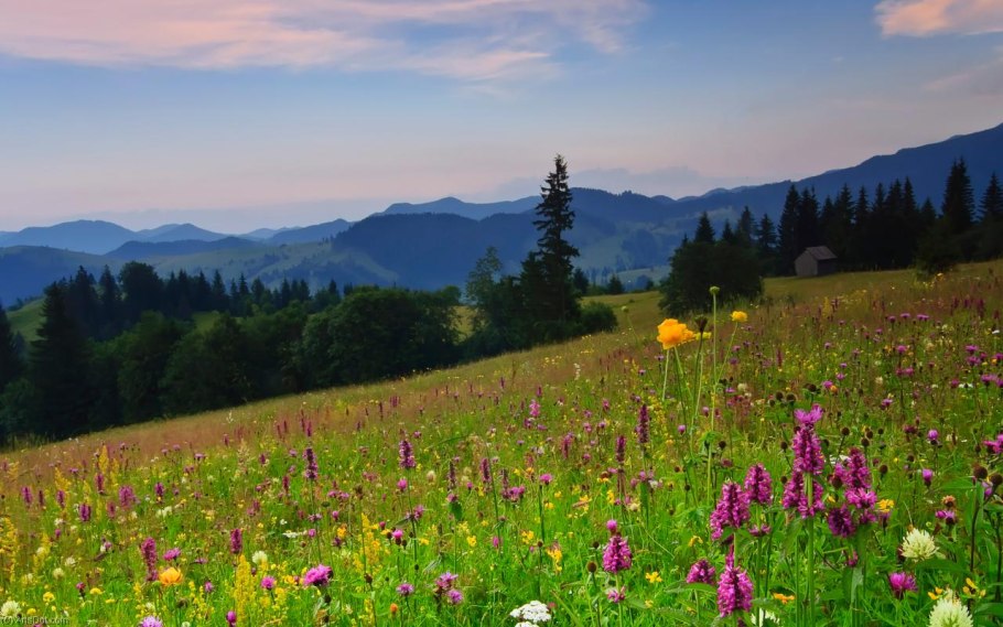 Палусские Луга