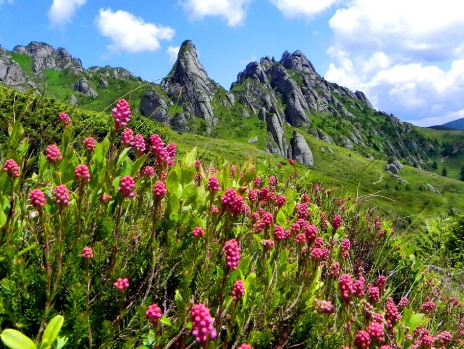 Альпийские Луга в Крыму