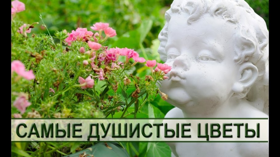 "Ангелочек в цветочном саду"
