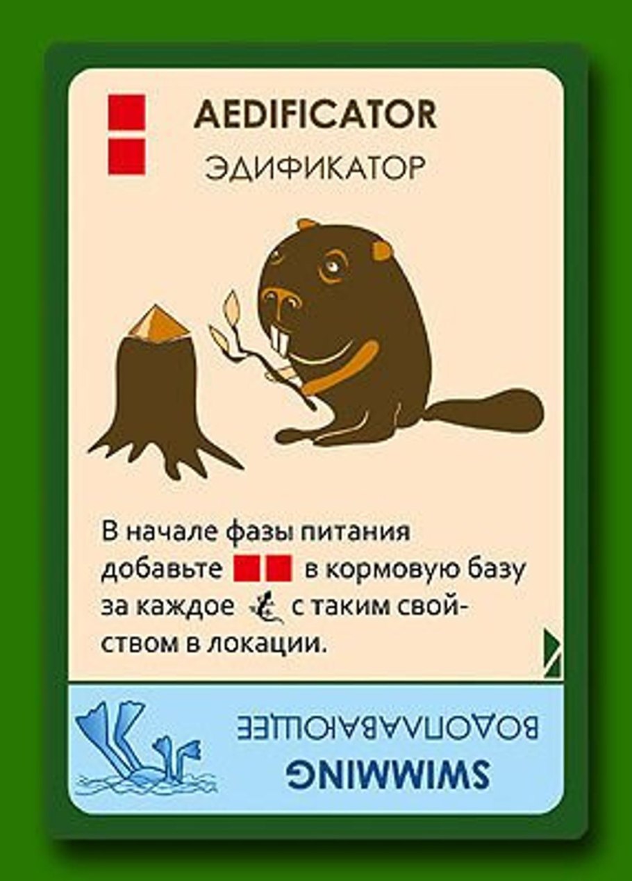 Светолюбивые (гелиофиты)