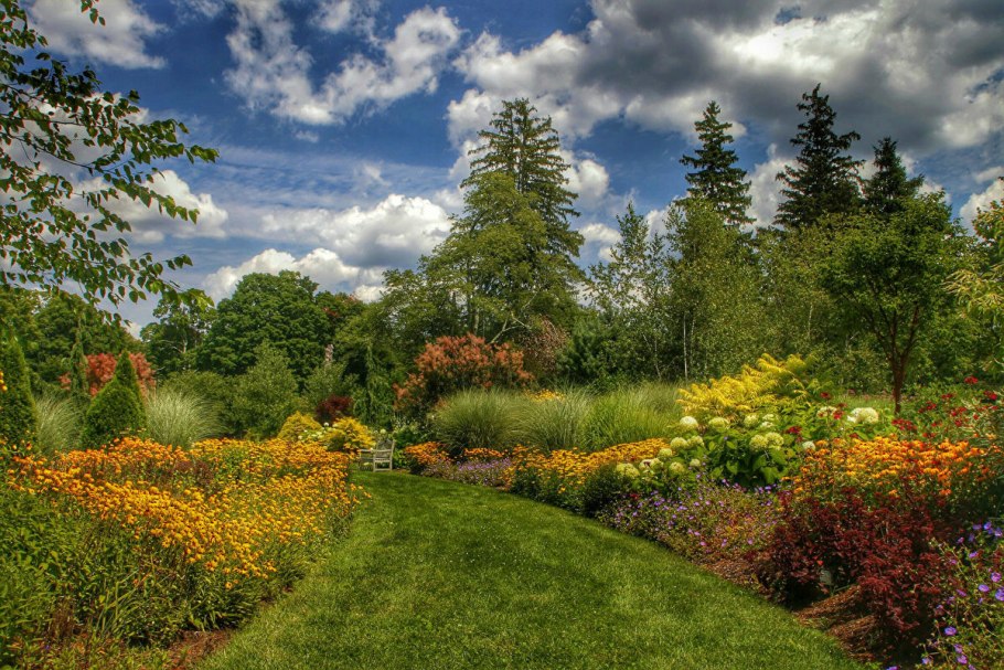 Красивые летние пейзажи природы