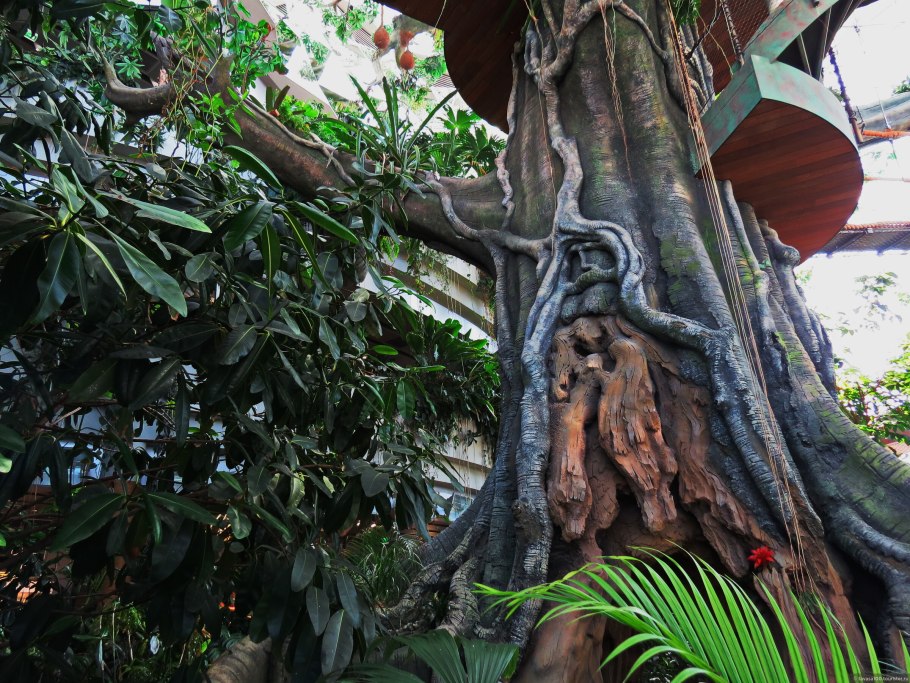 Огромное дерево в джунглях