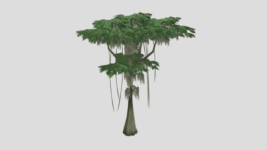 Дерево джунгли на прозрачном фоне