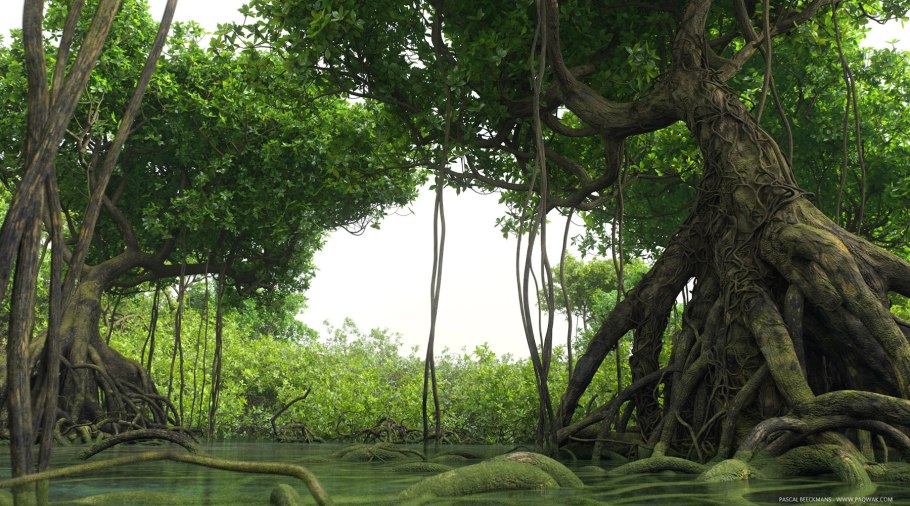 Джунгли деревья