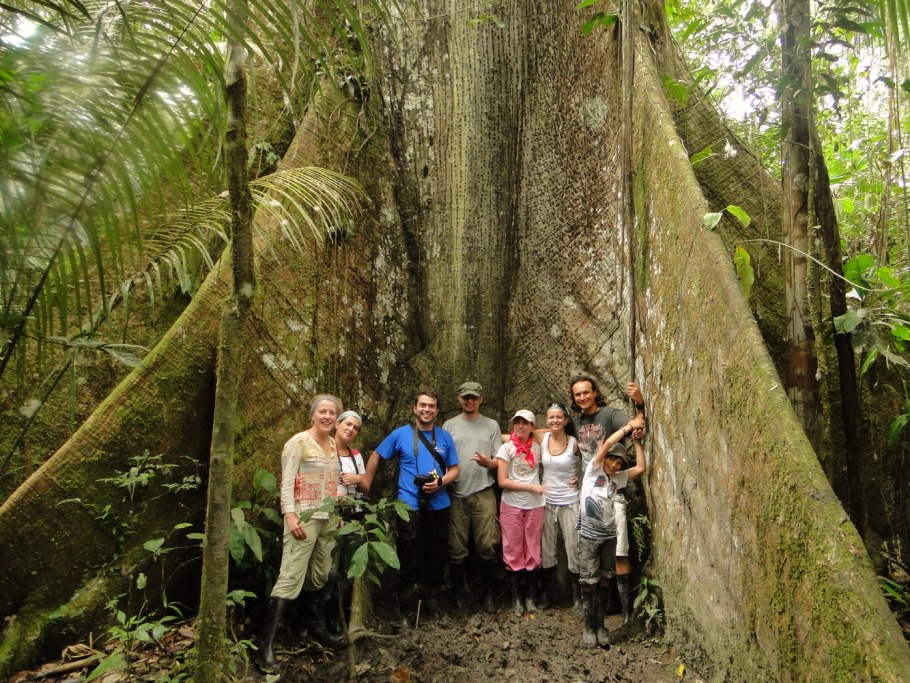 Амазонские джунгли Эквадора.