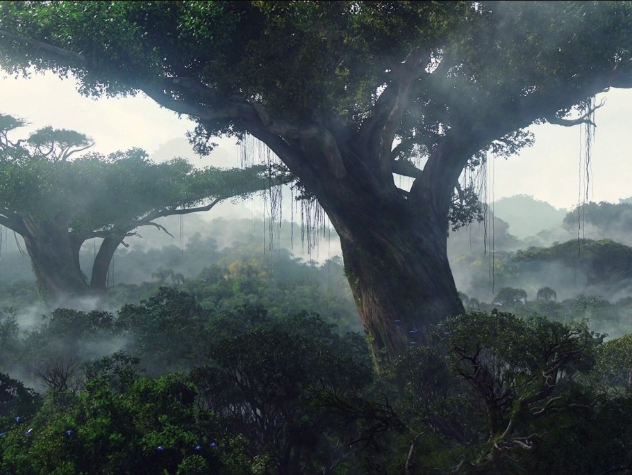 Джунглевое дерево