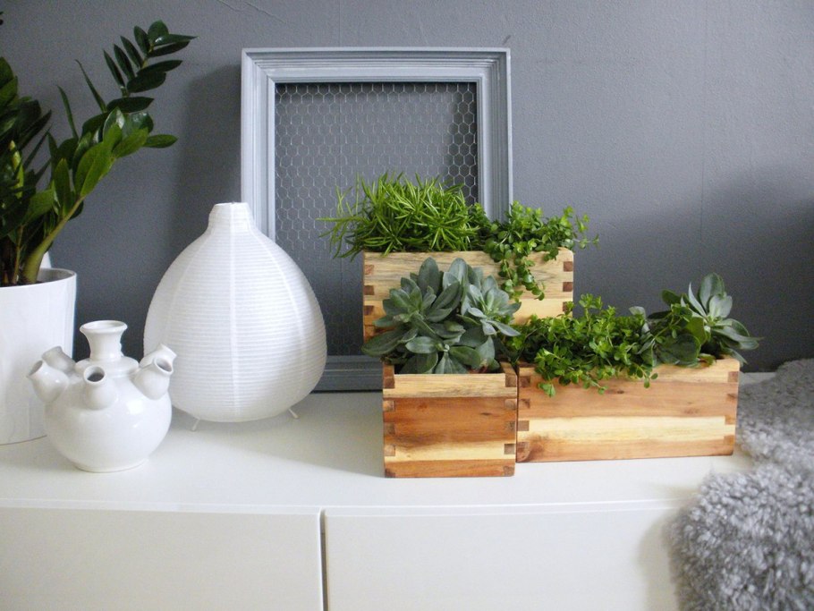 Растения икеа в интерьере