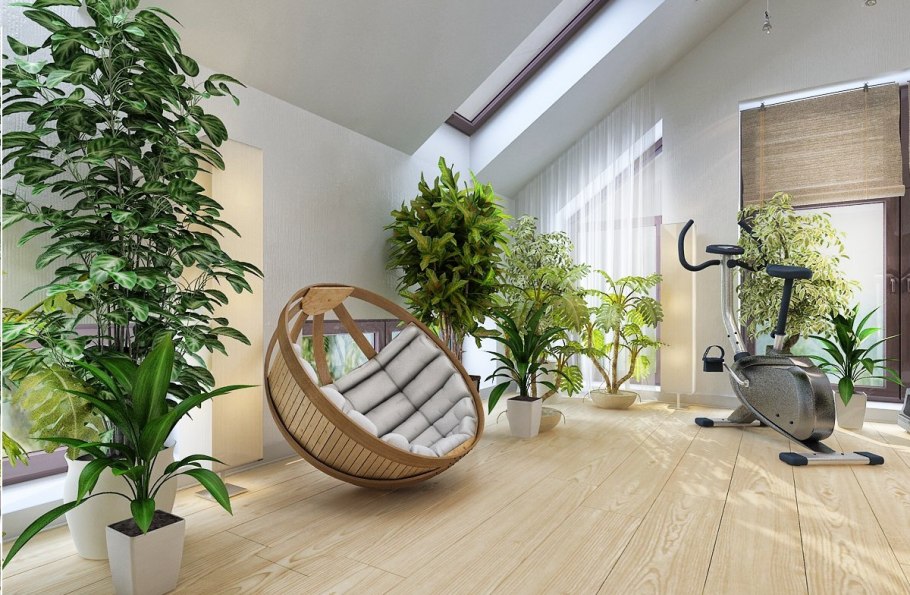 Маранта ЭКОДИЗАЙН