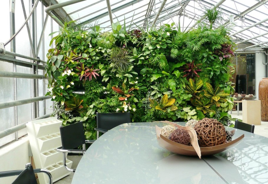 Антуриум в вертикальном озеленении