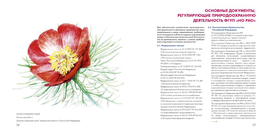 Пион тонколистный описание из красной книги