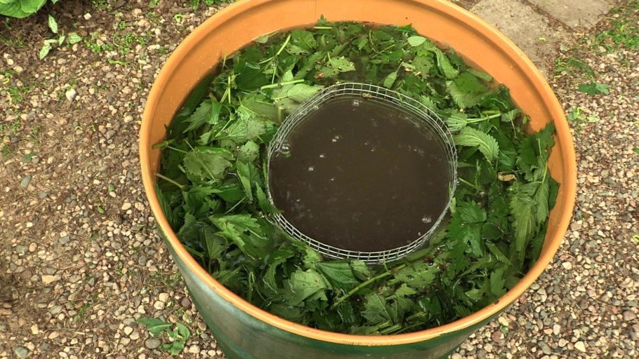 Удобрение из крапивы