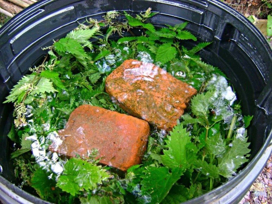 Зелёное удобрение из травы