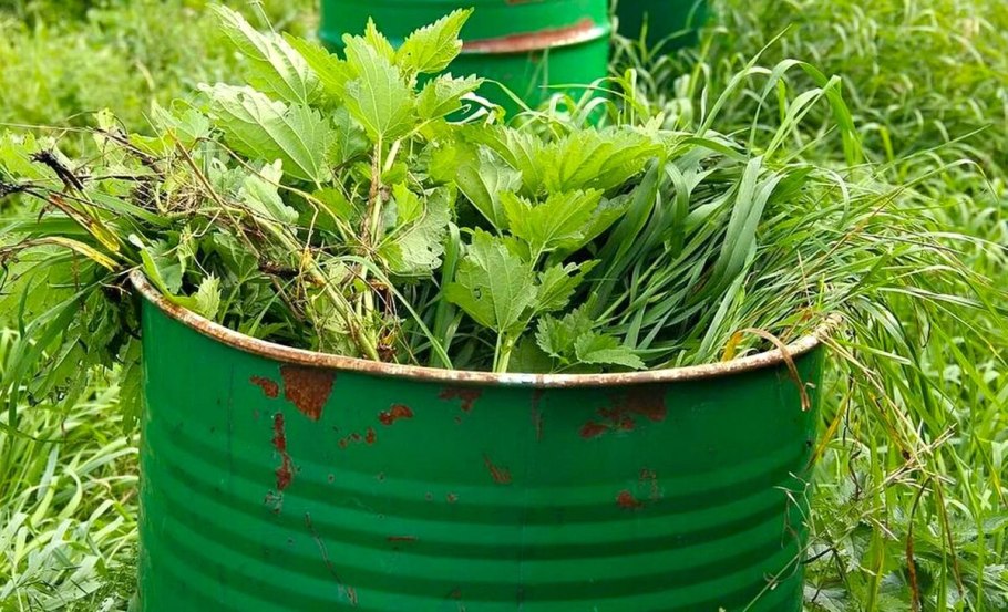 Настой из травы удобрение