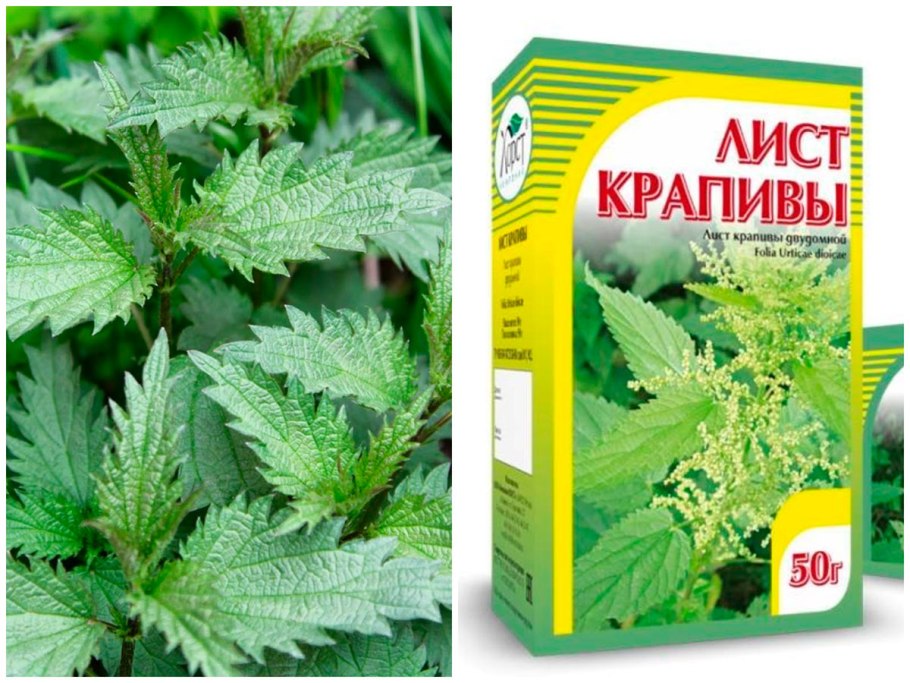 Фазы роста Яровой пшеницы таблица