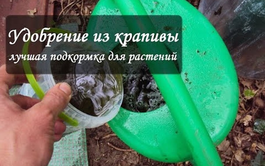 Прополка сорных растений