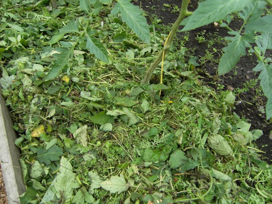 Удобрение из сорняков