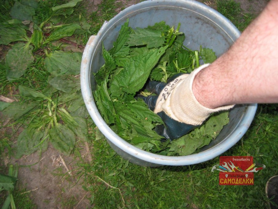 Крапива веник