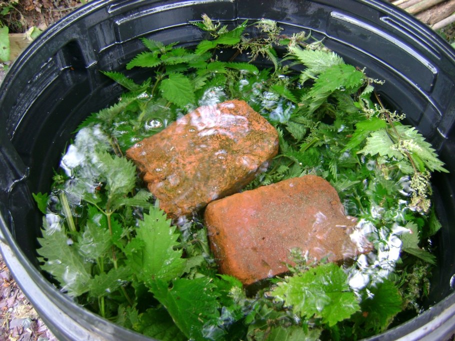 Крапива удобрение