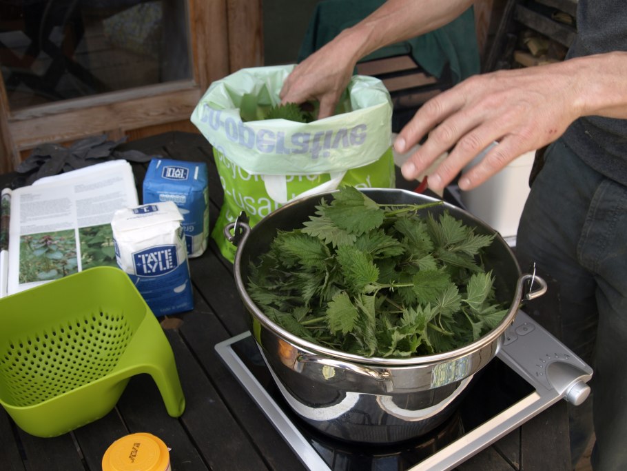 Травяной настой для удобрения