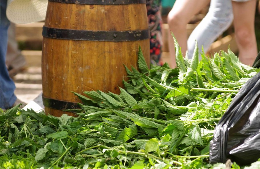 Травяной настой для удобрения