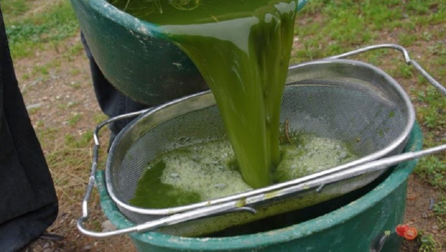 Удобрение из крапивы