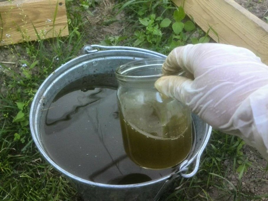 Настой крапивы для огорода
