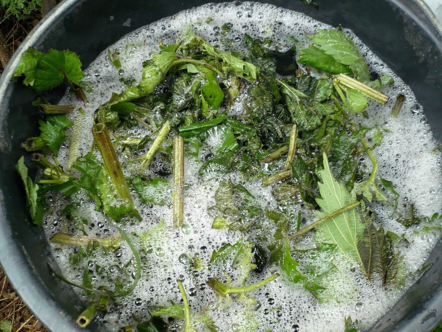 Настой из крапивы для огорода